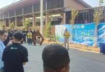 Edukasi Penghijauan UKDC Surabaya Tanam 40 Pohon