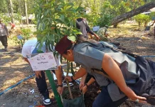 Kejari Ngawi Tanam Pohon Produktif, Dorong Ekonomi Warga