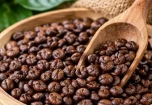 Daerah Penghasil Kopi Berkualitas di Jawa Timur