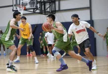 Basket Putra Buka Perjuangan Indonesia di Aichi-Nagoya, Bidik Medali