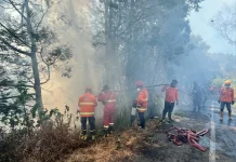 Water Bombing Terkendala Angin, Bromo Optimalkan Jalur Darat