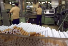 Sejarah Terciptanya Rokok, Bermula Dari Tradisi Tembakau
