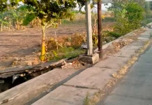Aduan Sampah Ditindaklanjuti, Bu Reny Apresiasi Halo RRI