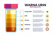 Jangan Abaikan Warna Urin, Bisa Jadi Sinyal Tubuh Kekurangan Cairan