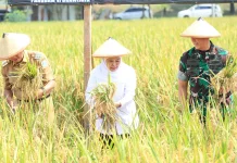 Produksi Padi Jatim Diprediksi Tembus 9,86 Juta Ton GKG hingga Oktober