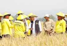 Gubernur Khofifah Apresiasi Petani sebagai Penjaga Lumbung Pangan Indonesia
