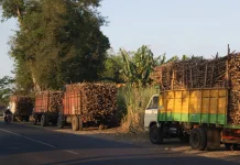 Tebu Terserap, Petani Lega: Kinerja Giling PG Ngadiredjo Jadi Kabar Baik