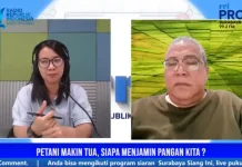 Petani Menua, Regenerasi Jadi Tantangan Pangan