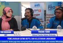 Ular Masuk Rumah, Jangan Panik dan Jangan Gegabah Membunuh
