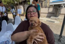 Biaya Mahal, Vaksin Rabies Hewan Tetap Penting
