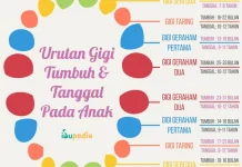 Kapan Gigi Susu Copot? Kenali Tanda Bahayanya!