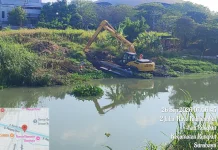Aduan Eceng Gondok Mastrip, DLH Jelaskan Penanganannya