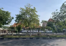 UPNVJT Ungkap Dugaan Kasus Kekerasan Verbal dan Pelecehan oleh Dosen