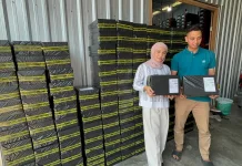 Menapak di Era Digital: Kisah Pelaku UKM Sepatu Mojokerto Menembus Pasar Global