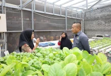 DPRD Surabaya Dorong Urban Farming Perkuat Ketahanan Pangan Warga