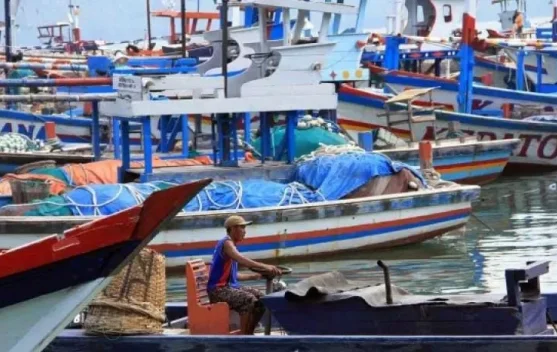 Dinas Perikanan Sidoarjo Intensif Latih Nelayan Lebih Mandiri