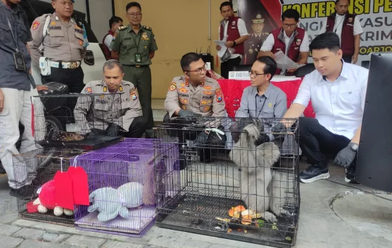 Polisi Bongkar Perdagangan Satwa Dilindungi Internasional