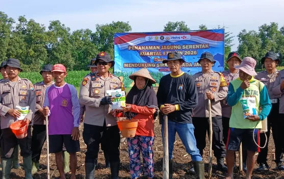Kepolisian Balongbendo Gelar Tanam Jagung Serentak Kuartal I