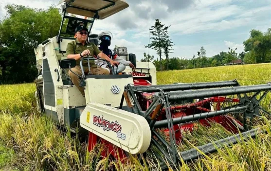 Serapan Beras Bulog Jatim Tembus 300 Ribu Ton