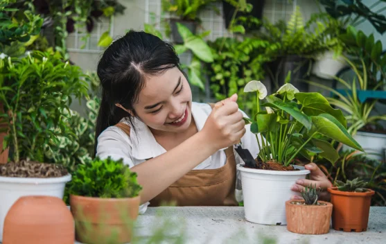 Kebun Kecil di Rumah ternyata Ampuh Kurangi Stres dan Hemat Pengeluaran