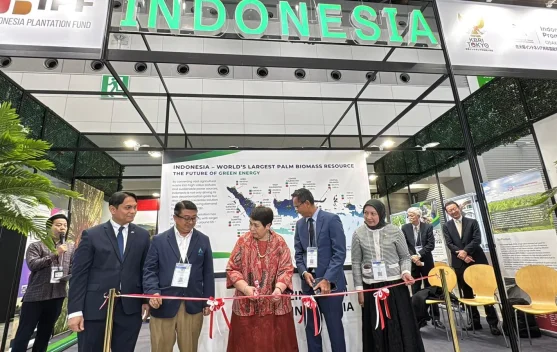 Indonesian Palm Biomass Expands Presence in Japan, Surpassing 5 Million Tons Annua