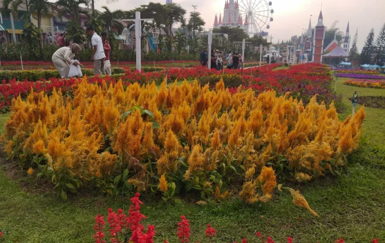 Florawisata Santerra de Laponte, Destinasi Wisata Favorit di Malang Saat Musim Lib