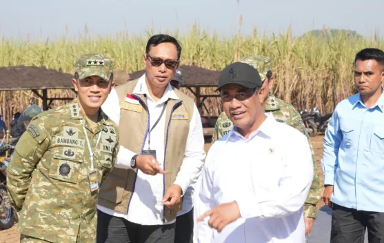 BULOG Perkuat Sinergi Ketahanan Pangan Lewat Panen Raya Serentak TNI