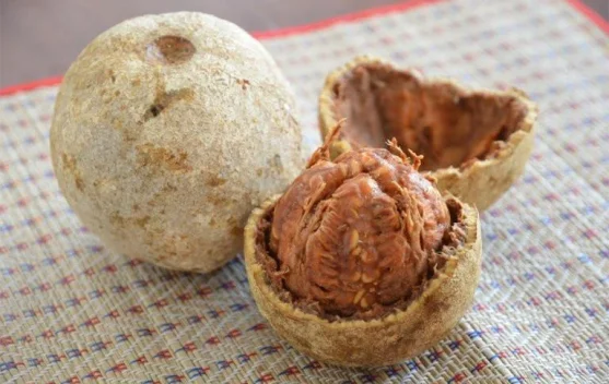 Buah Kawista, Si Buah Langka Khas Rembang yang Punya Cita Rasa Unik