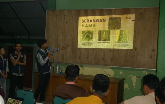 Mahasiswa UPNVJT Sulap Putung Rokok jadi Pestisida Nabati