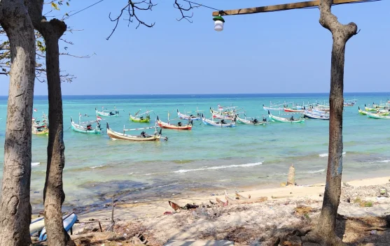 Pemkab Sampang Siapkan Lahan Enam Hektare untuk Wisata Mandangin