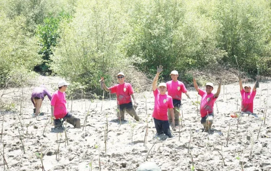 Pertamina Patra Niaga Tanam 1.000 Mangrove di KEE Ujung Pangkah