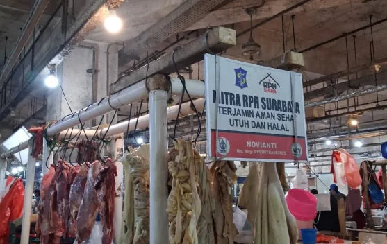 Pasokan Daging Sapi Surabaya Aman, Harga Bertahan di Kisaran Rp150 Ribu ...