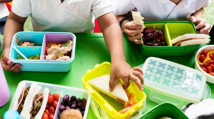 MBG Selama Ramadan di Solo: Siswa Akan Diberikan Menu Kering