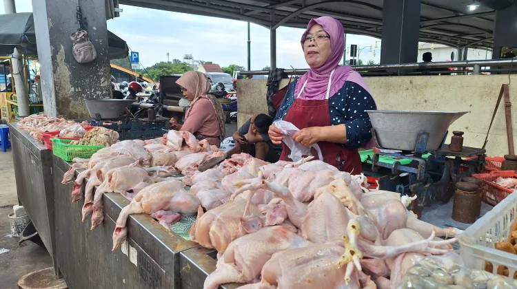 Memasuki Ramadhan Daging Ayam Ras Tembus Harga Rp40.000 Perkilogram