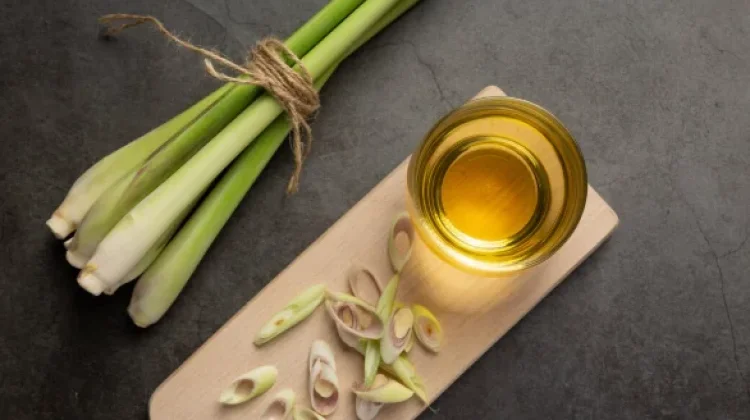 Serai Wangi dan Aroma Alami Ampuh Usir Nyamuk
