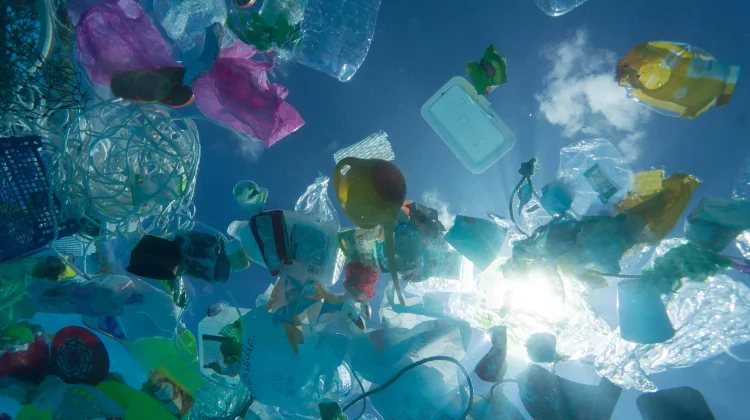 Bahaya Menggunakan Kantong Plastik bagi Lingkungan dan Kesehatan