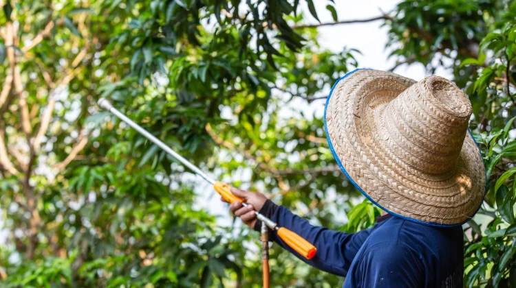 Bijak Gunakan Pestisida, Produktivitas Naik tanpa Merusak Lingkungan