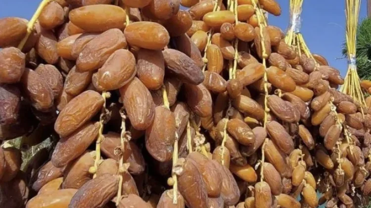Cara Bedakan Kurma Alami dan Bergula