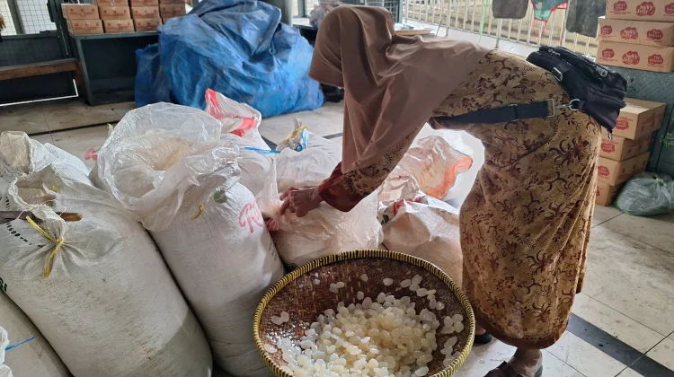 Kolang Kaling dan Cincau Laris Manis di Sejumlah Pasar di Kota Solo