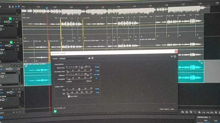 Mengenal Fungsi Reverb pada Rekaman Vokal