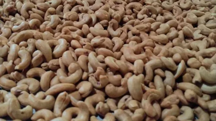 Kacang Mete, Camilan Lezat dengan Segudang Nutrisi