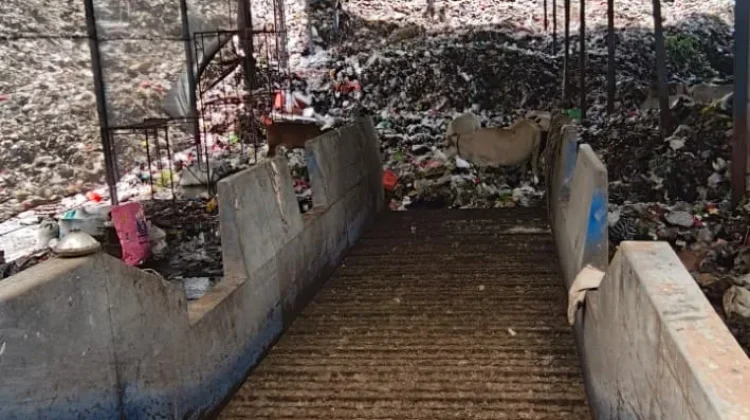 Petugas Kebersihan Tewas Terbawa Mesin Penggiling Sampah di Putri Cempo