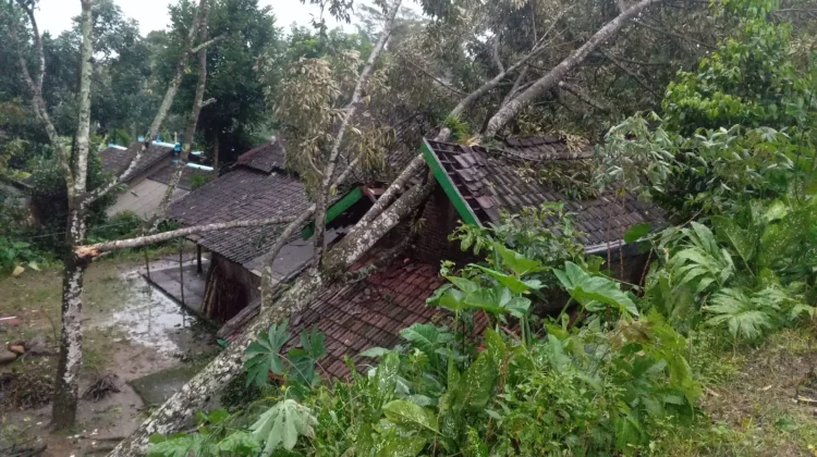 Puting Beliung Terjang 7 Kecamatan di Karanganyar, Puluhan Rumah Rusak