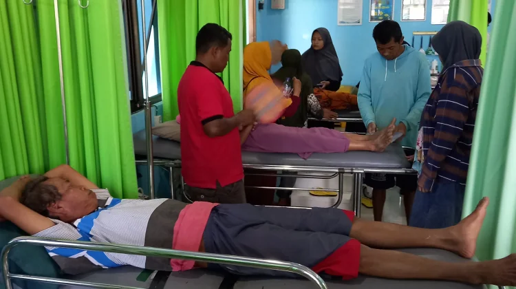 Diserang Tawon saat Panen Padi, 8 Petani Jatiyoso Dilarikan ke Puskesmas
