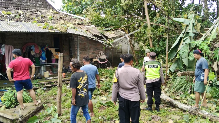 Cuaca Ekstrim di Sragen 9 Pohon Tumbang, 6 Rumah Rusak 2 KK Mengungsi