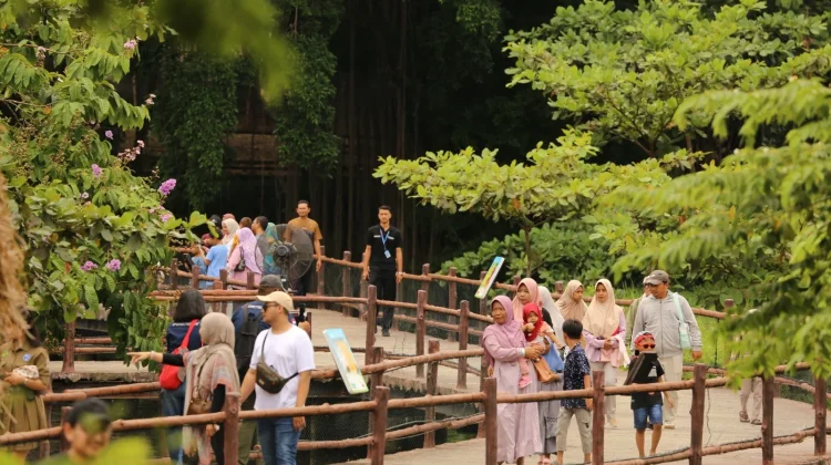 Libur Lebaran Solo Safari Dengan Safari Raya Festive
