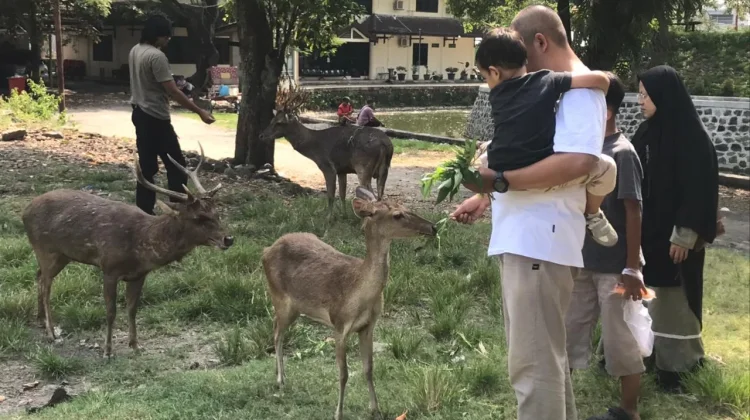 Taman Sriwedari Solo Jadi Wisata Favorit Keluarga saat Lebaran, Super Hemat