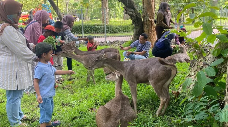 Taman Balekambang Solo Targetkan 15 Ribu Pengunjung Selama Lebaran 2026