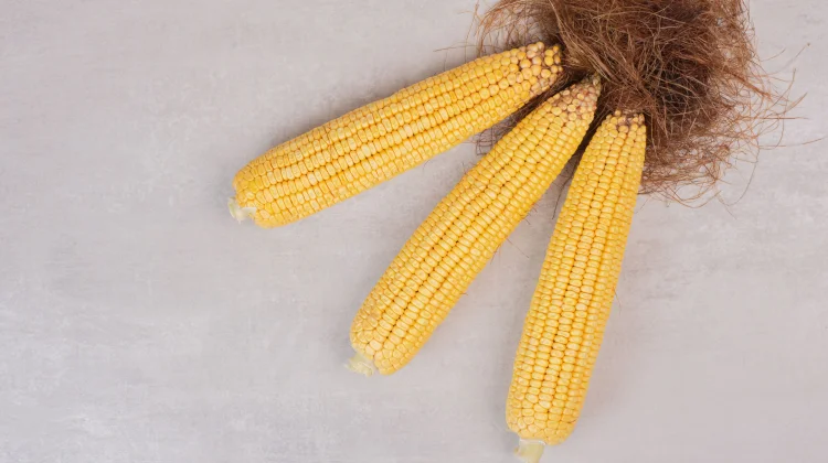 Jangan Dibuang, Rambut Jagung Bisa Jadi Teh yang Menyehatkan