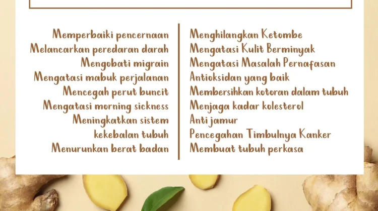 Konsumsi Jahe untuk Penderita Asam Lambung